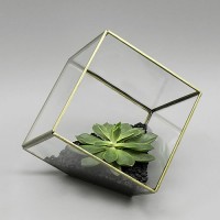 Vasesource Petite Glass Terrarium   